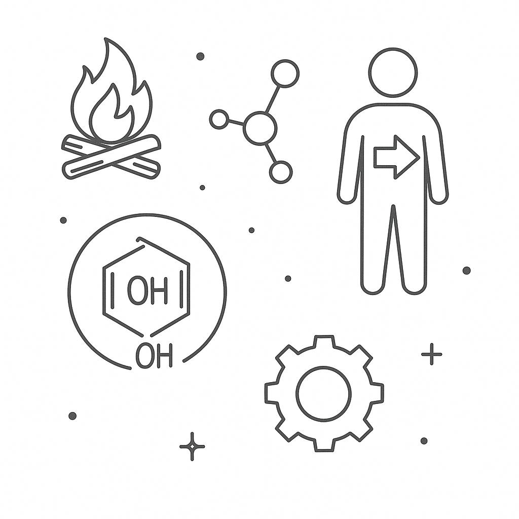 Illustration of mathematical concepts
